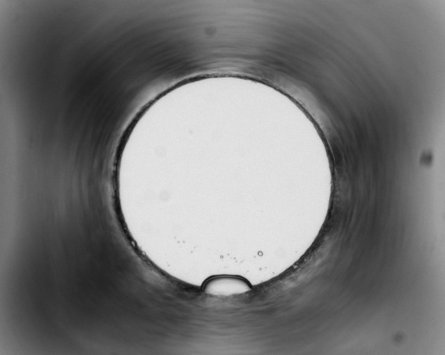 X0000103451093200810241139