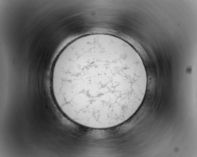 X0000103451094200810241139