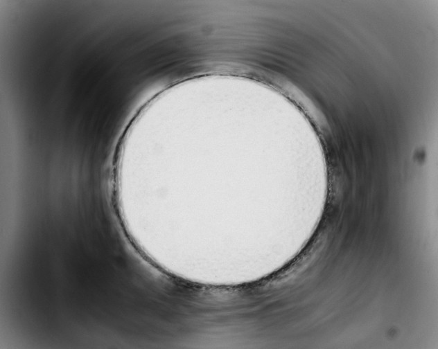 X0000103451095200810241139