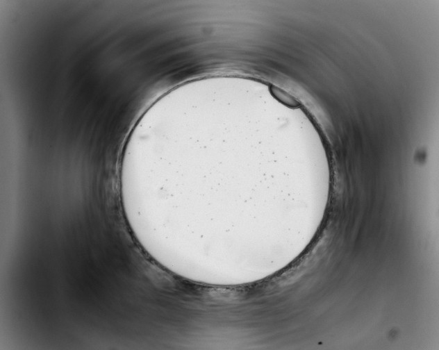 X0000103451097200810241139