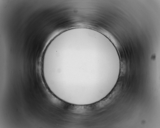 X0000103451098200810241139