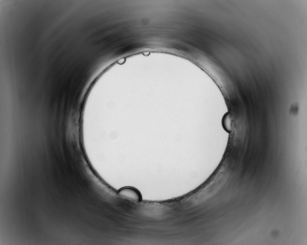 X0000103451100200810241139