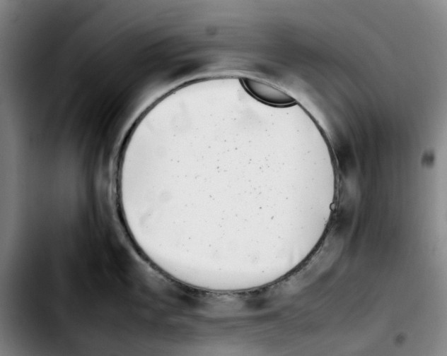 X0000103451101200810241139