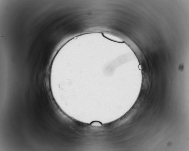 X0000103451102200810241139