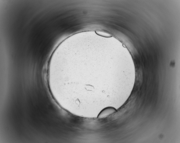 X0000103451103200810241139