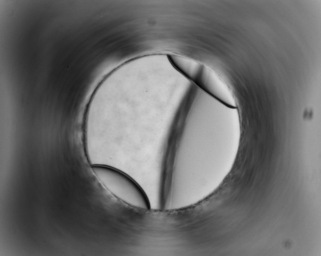 X0000103451104200810241139