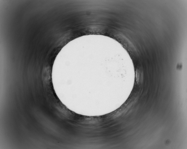 X0000103451107200810241138