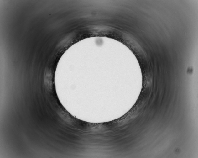 X0000103451108200810241138