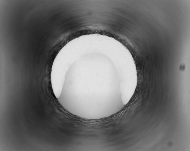 X0000103451110200810241138