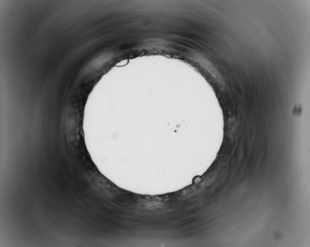 X0000103451111200810241138