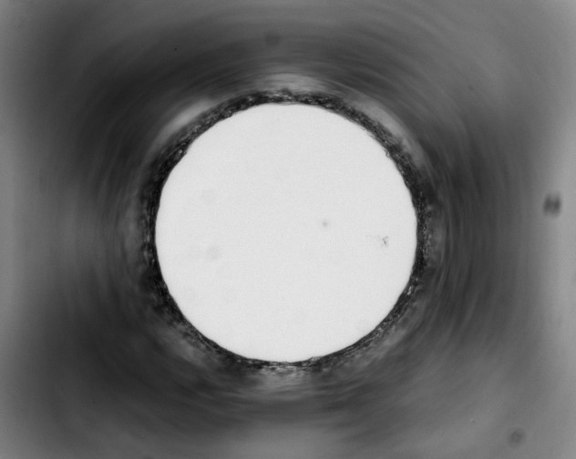 X0000103451112200810241139