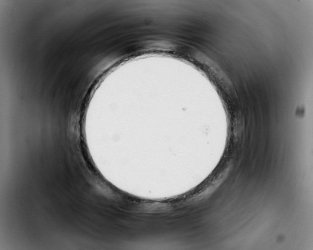 X0000103451113200810241139