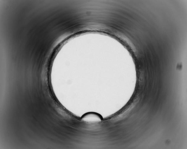 X0000103451114200810241139