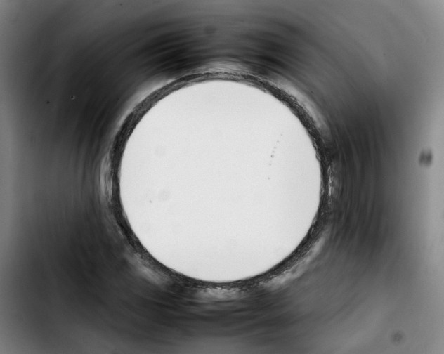 X0000103451117200810241139