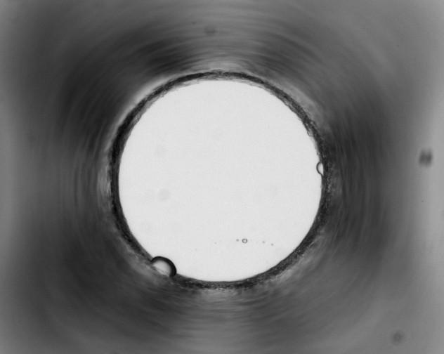 X0000103451118200810241139