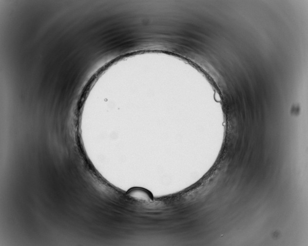 X0000103451119200810241139