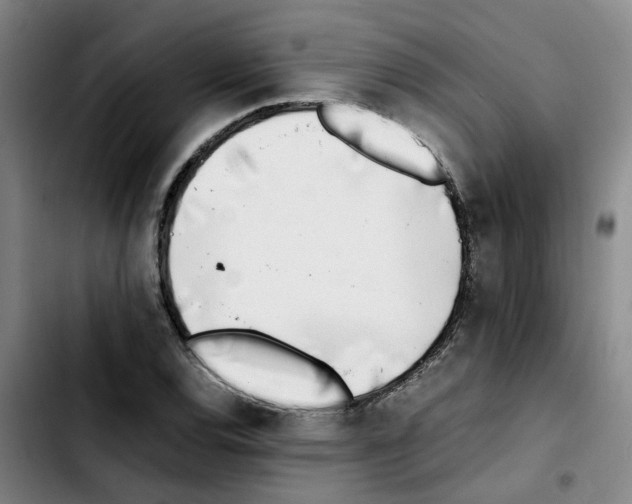 X0000103451120200810241139