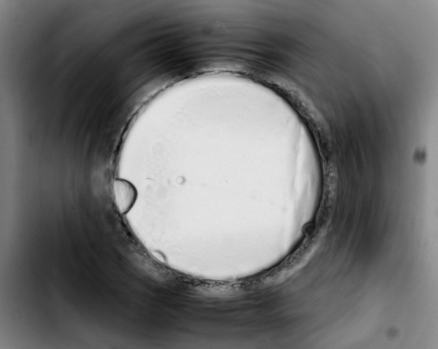 X0000103451121200810241139