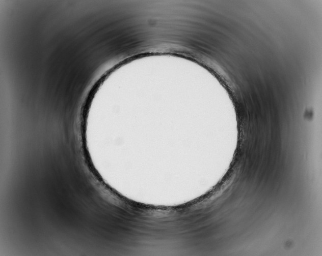 X0000103451122200810241139