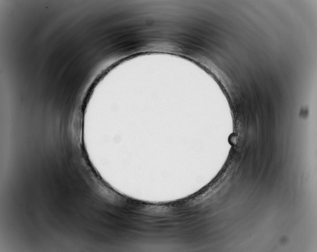 X0000103451123200810241139