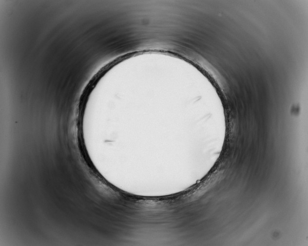 X0000103451124200810241139