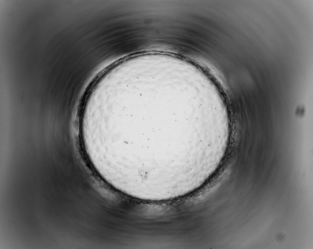 X0000103451125200810241139