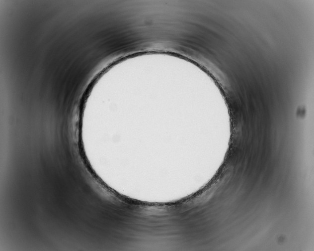 X0000103451126200810241139