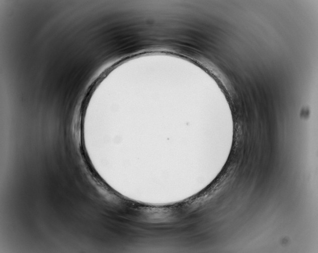 X0000103451127200810241139