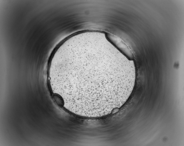 X0000103451128200810241139