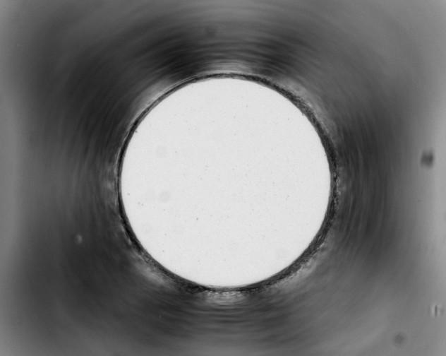 X0000103451129200810241139