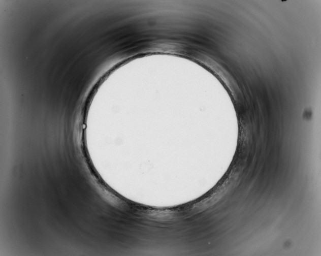 X0000103451131200810241139