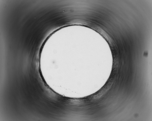 X0000103451132200810241139