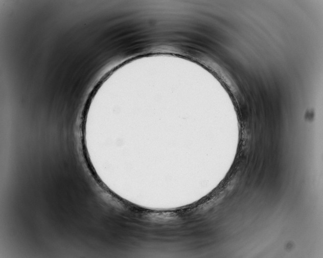 X0000103451133200810241139