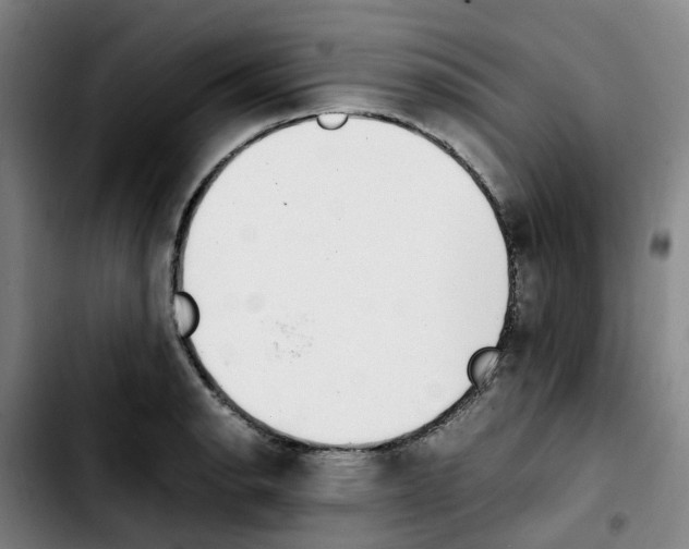 X0000103451134200810241139