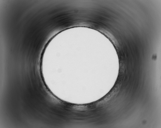 X0000103451135200810241139