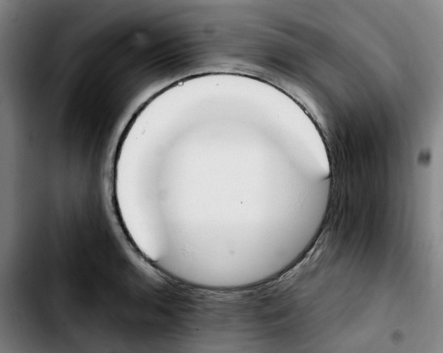 X0000103451136200810241139