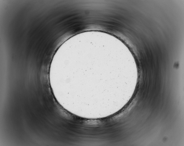 X0000103451137200810241139