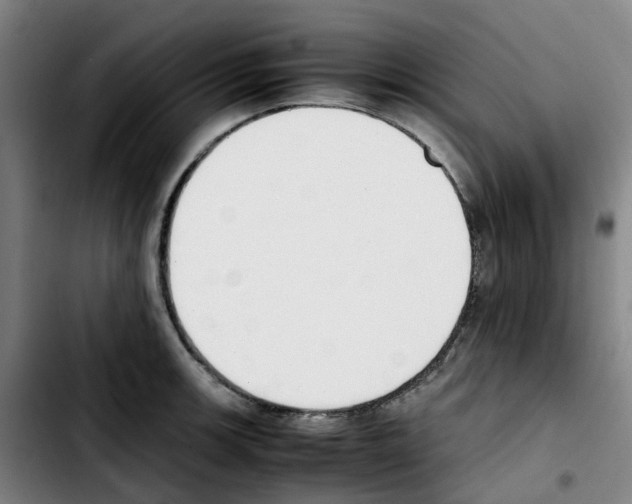 X0000103451139200810241139