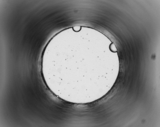 X0000103451140200810241139