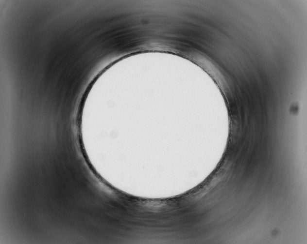 X0000103451141200810241139