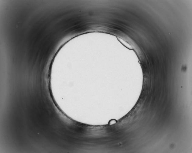 X0000103451143200810241139