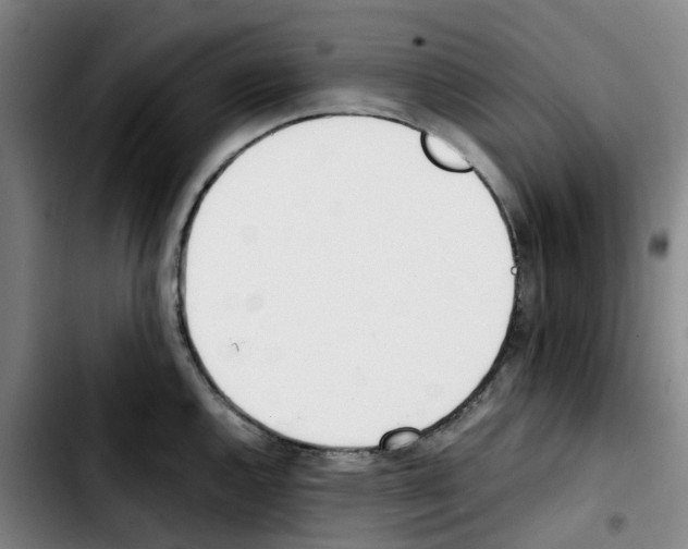 X0000103451144200810241139