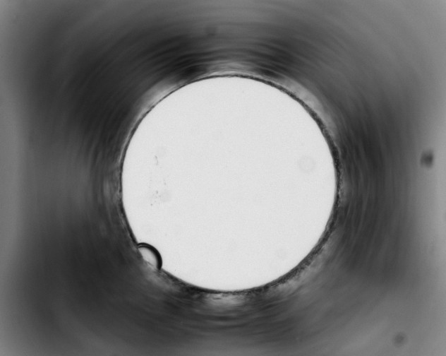 X0000103451145200810241139