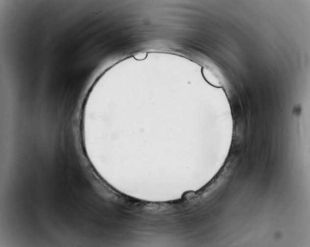 X0000103451146200810241139