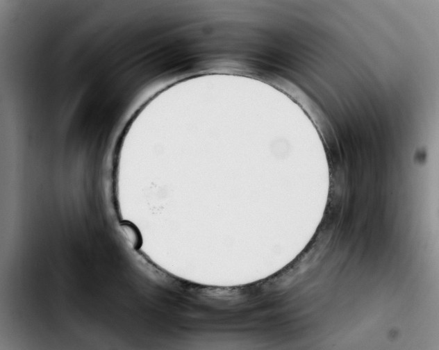 X0000103451147200810241139