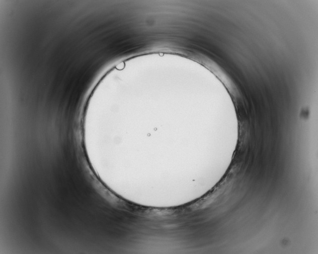 X0000103451148200810241139