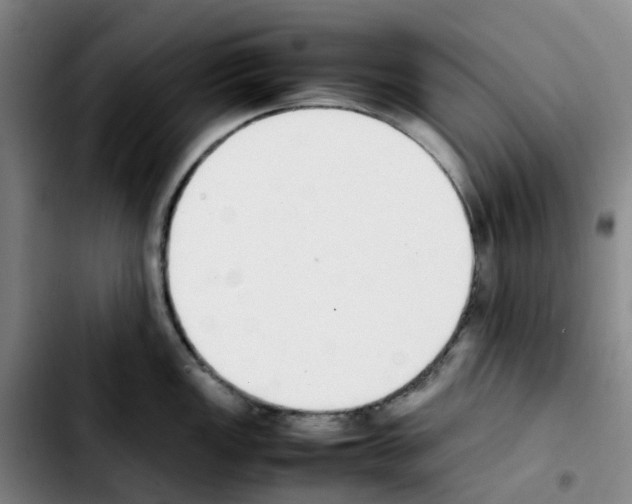 X0000103451149200810241139