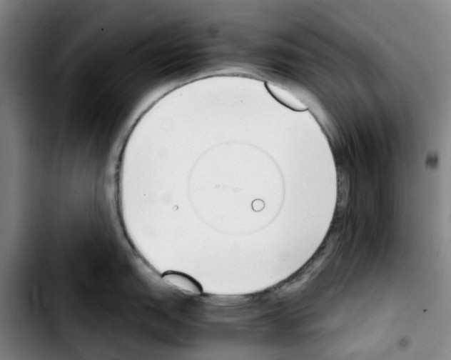 X0000103451151200810241139