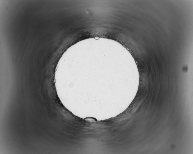 X0000103451153200810241138