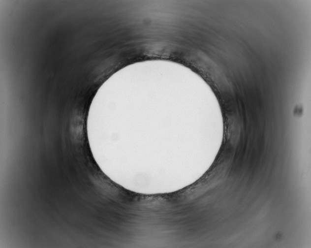 X0000103451154200810241138